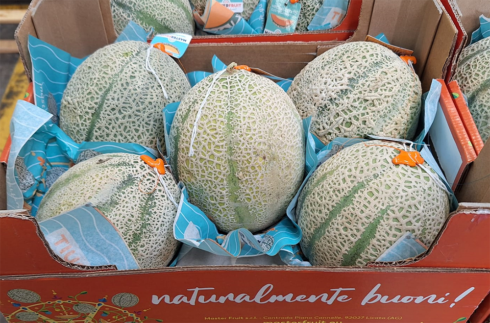 Melone retato Origine Sicilia prezzo 2,30 euro al chilo